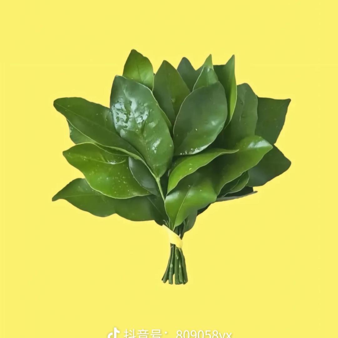 大头🫥