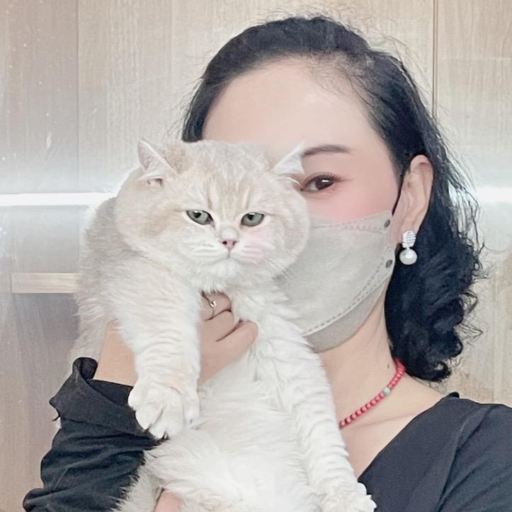 格格家的猫