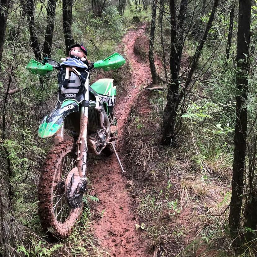 胖胖可爱的懒羊羊