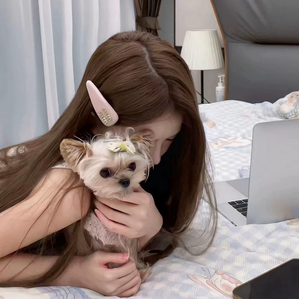 小娜宝