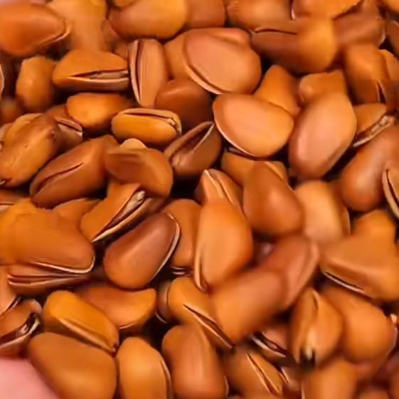 超超大松子年货节