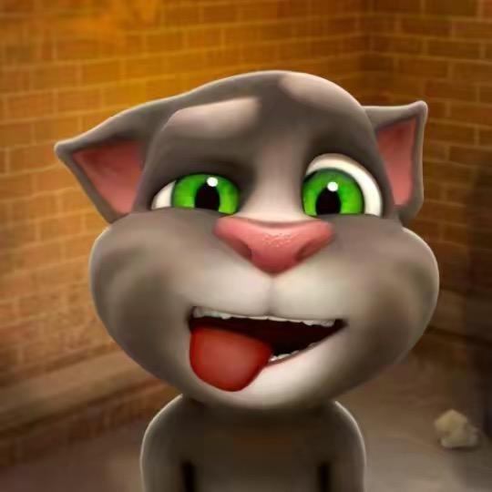 爱玩游戏的猫猫