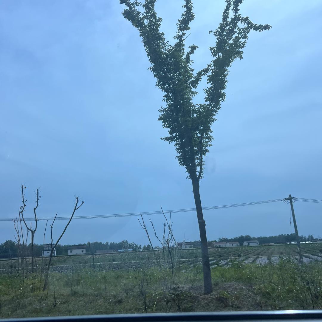 A三足鼎立