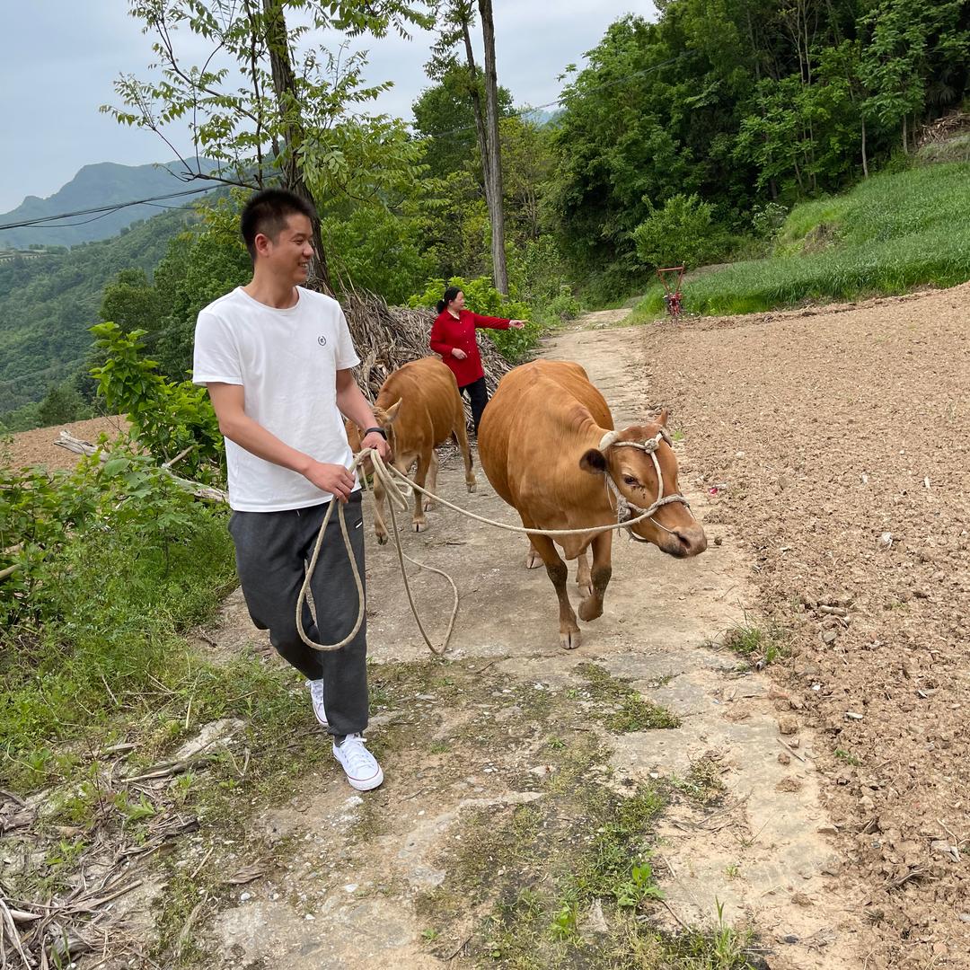 农村小哥哥
