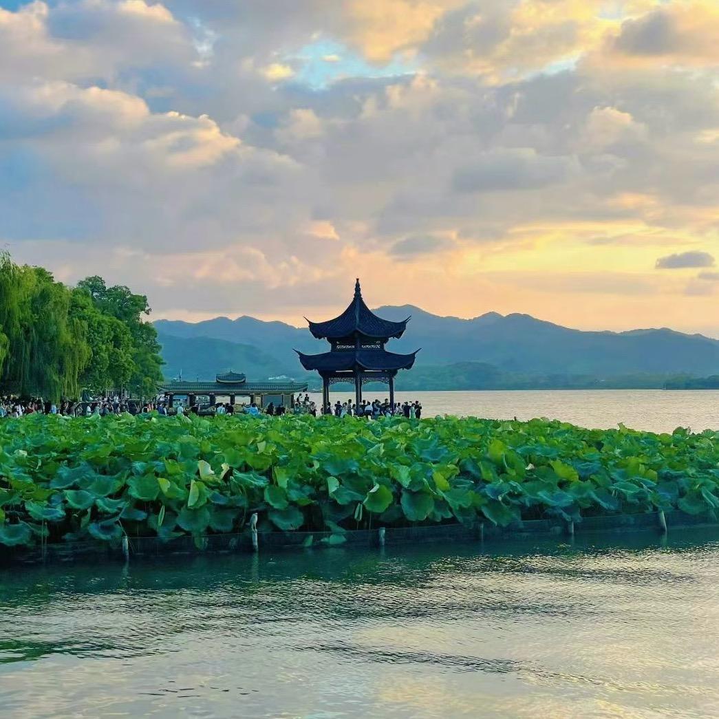 ☘️心如止水🌷