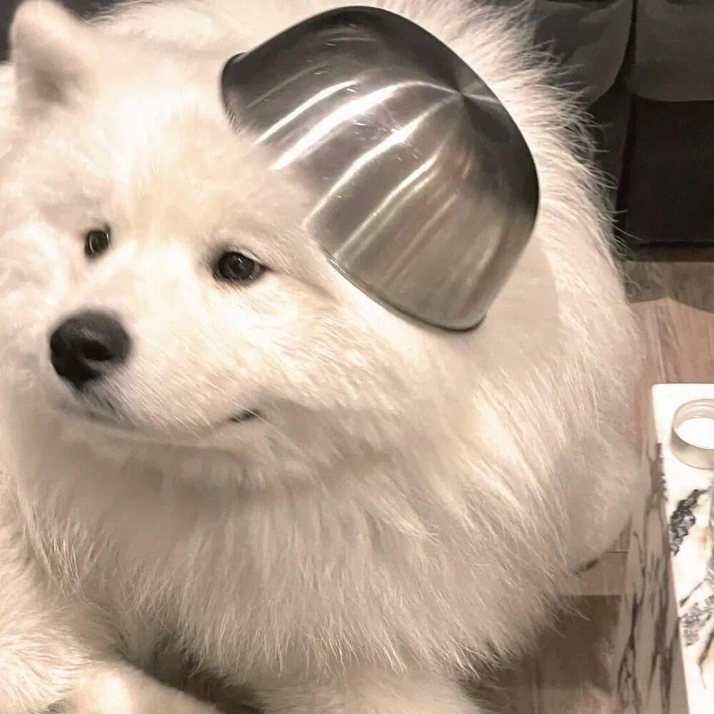 今天有点饿e