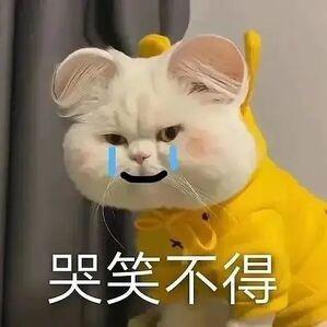 两颗牙牙