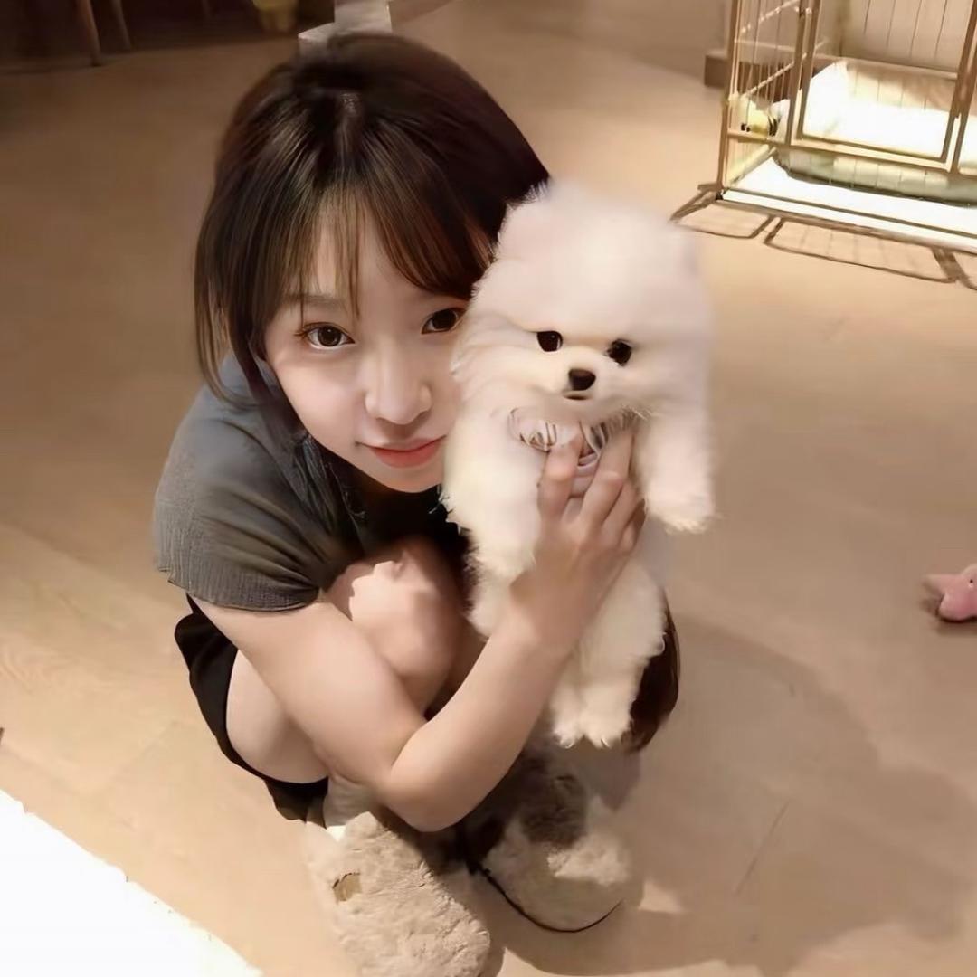 隐姓埋名刘亦菲 ￴