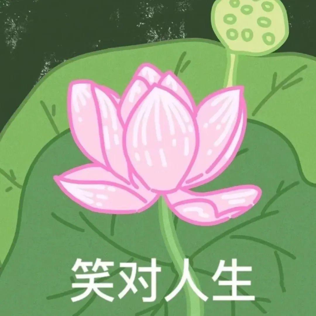 姜姜好