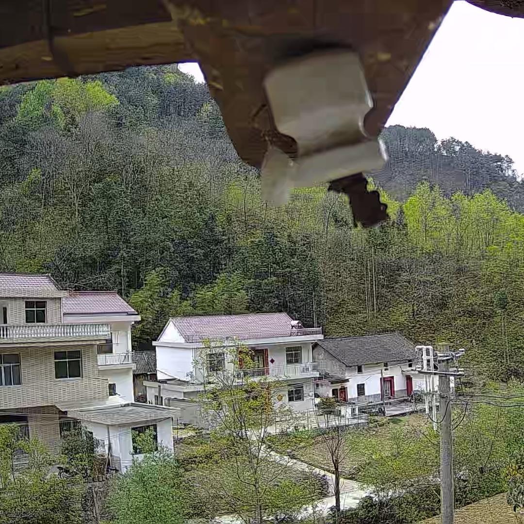 孤与庄周