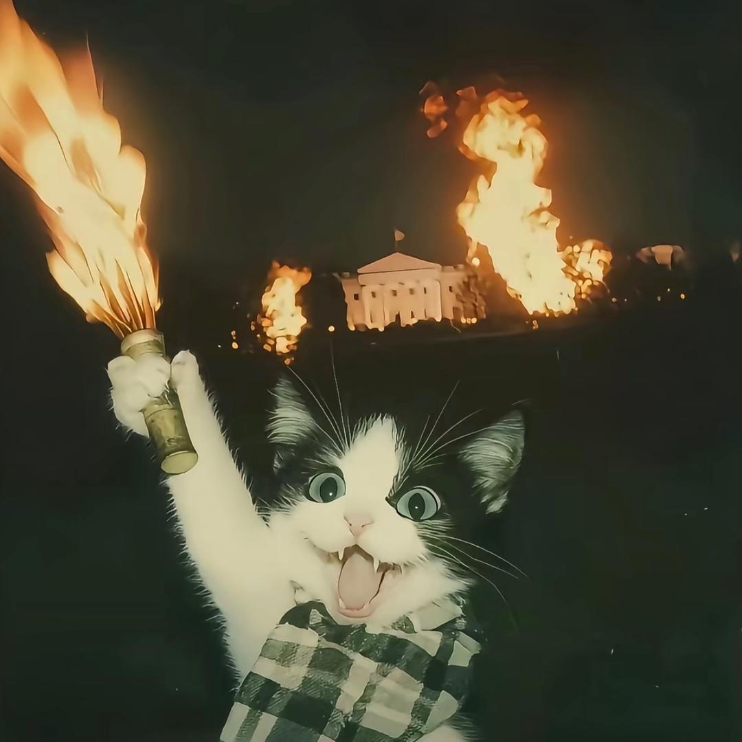 什么你说什么？