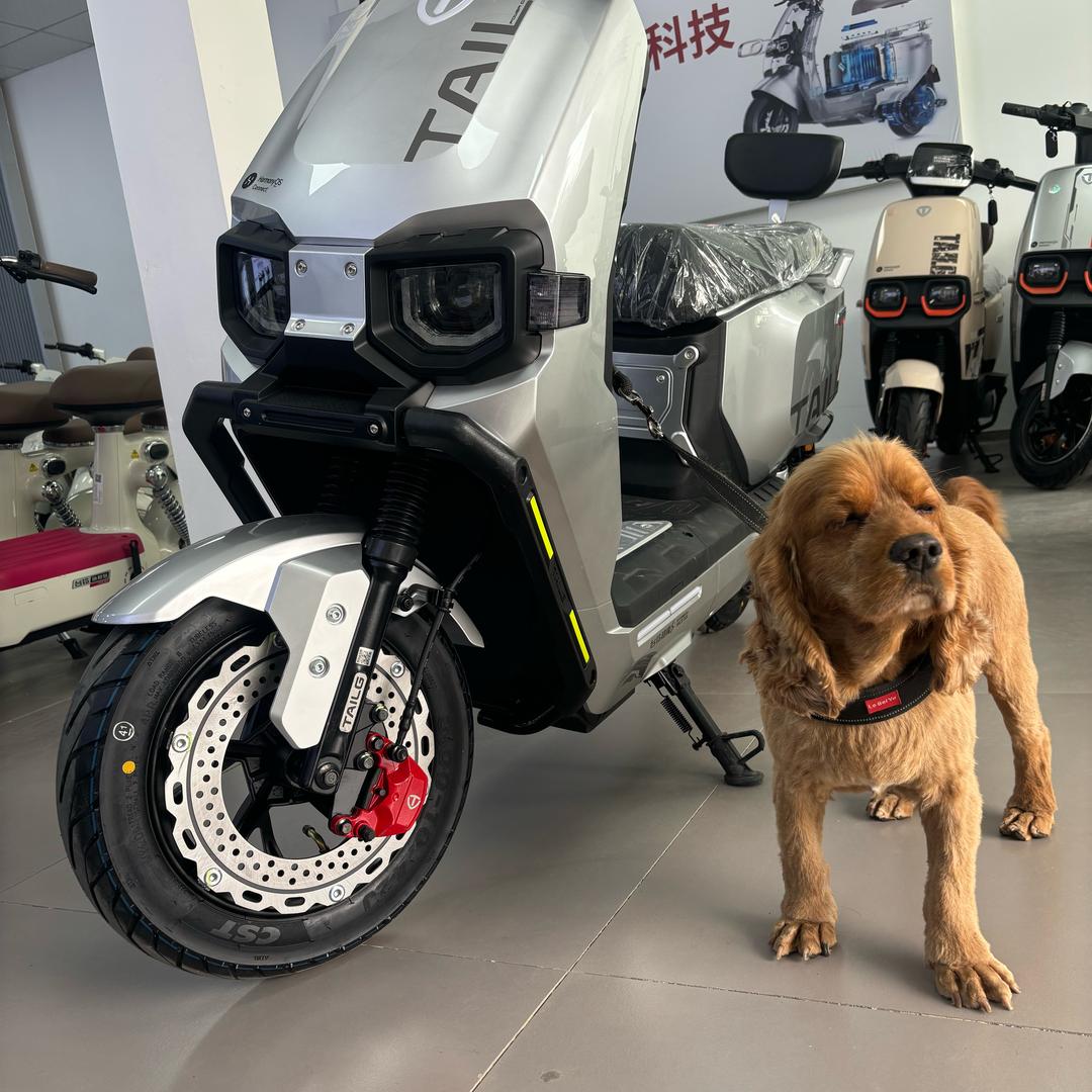 台铃电动车（德州银座北台铃总店）