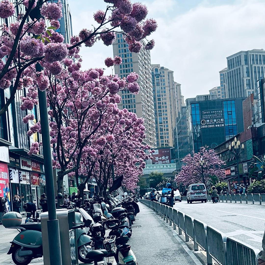 山歌爱好者