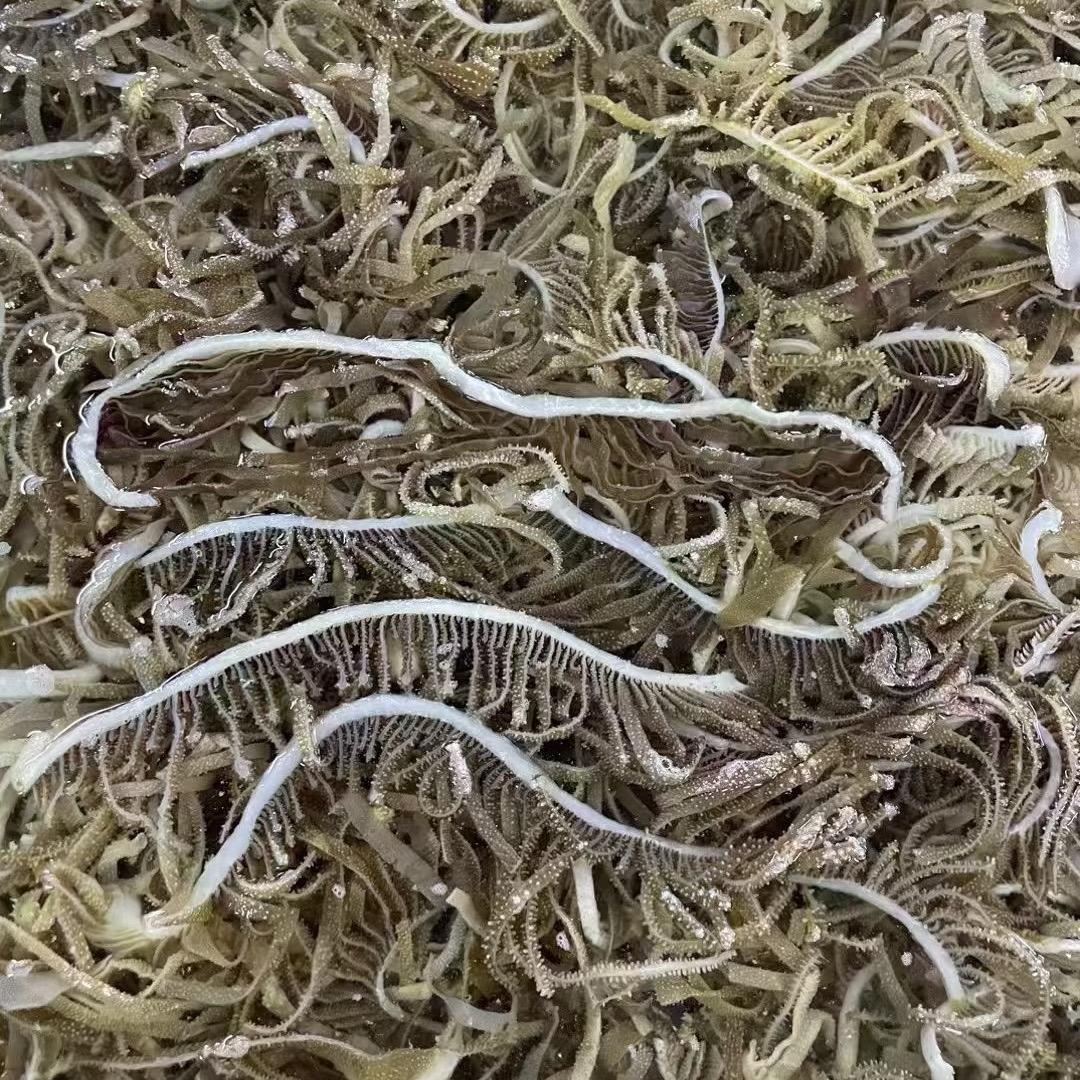 千层肚源头批发厂家