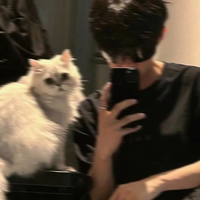 lm泽