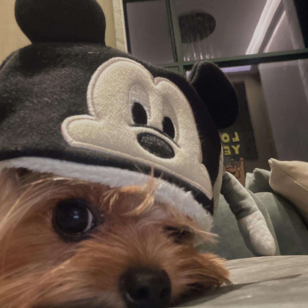 歪歪恩