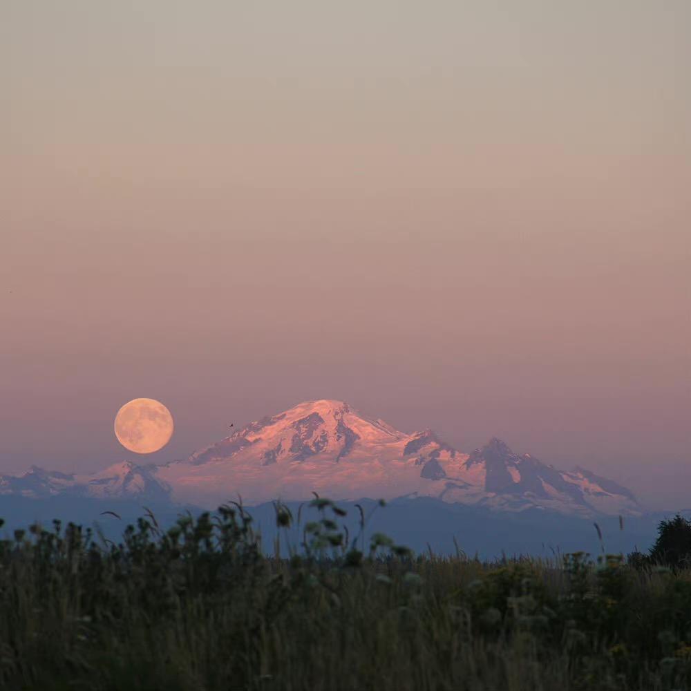 大梦（约拍📷版）