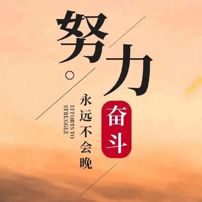波波创业（鑫瑞达）