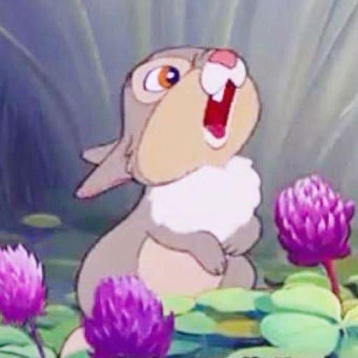 🐰楠不倒我！