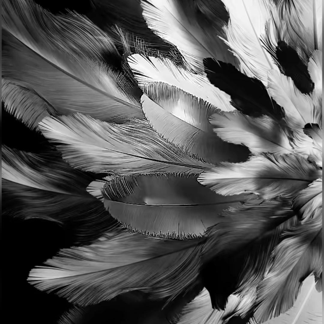 🦜