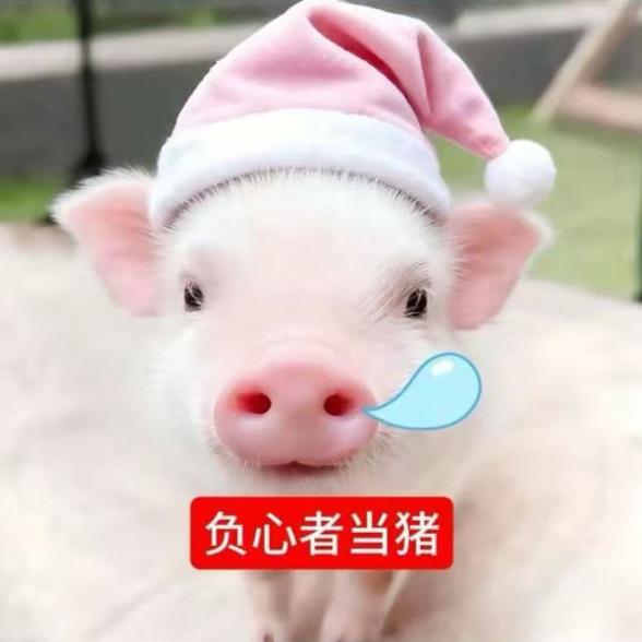 花少北丶