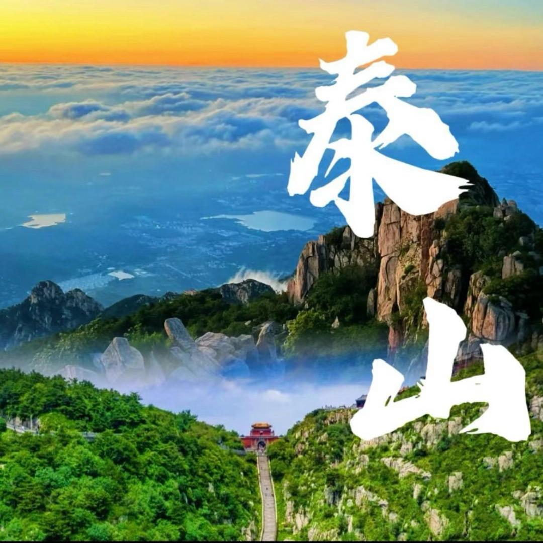 泰山亚军