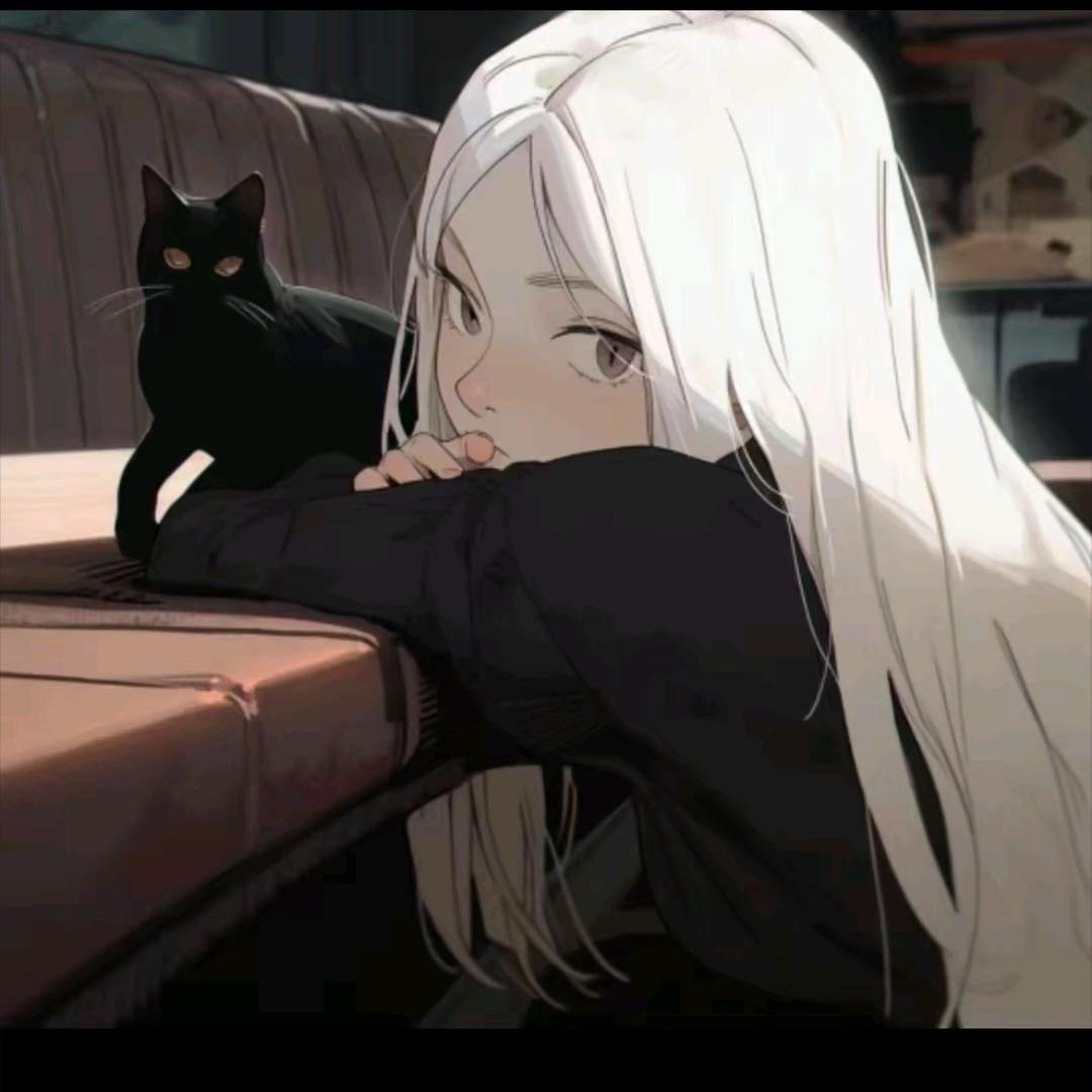 @付兔🐰