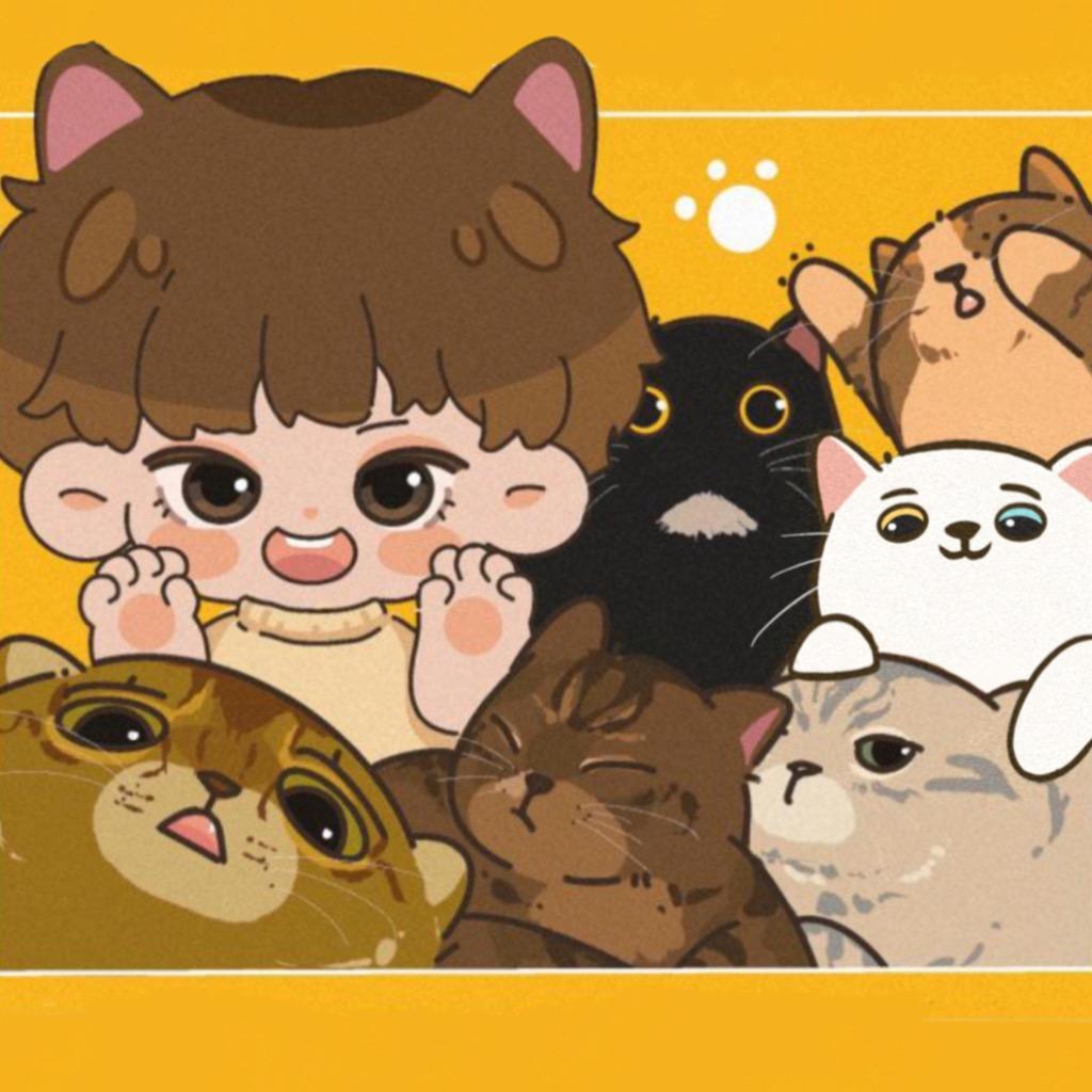 虎爸的养猫记