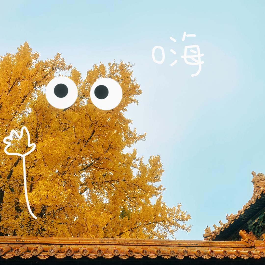 森