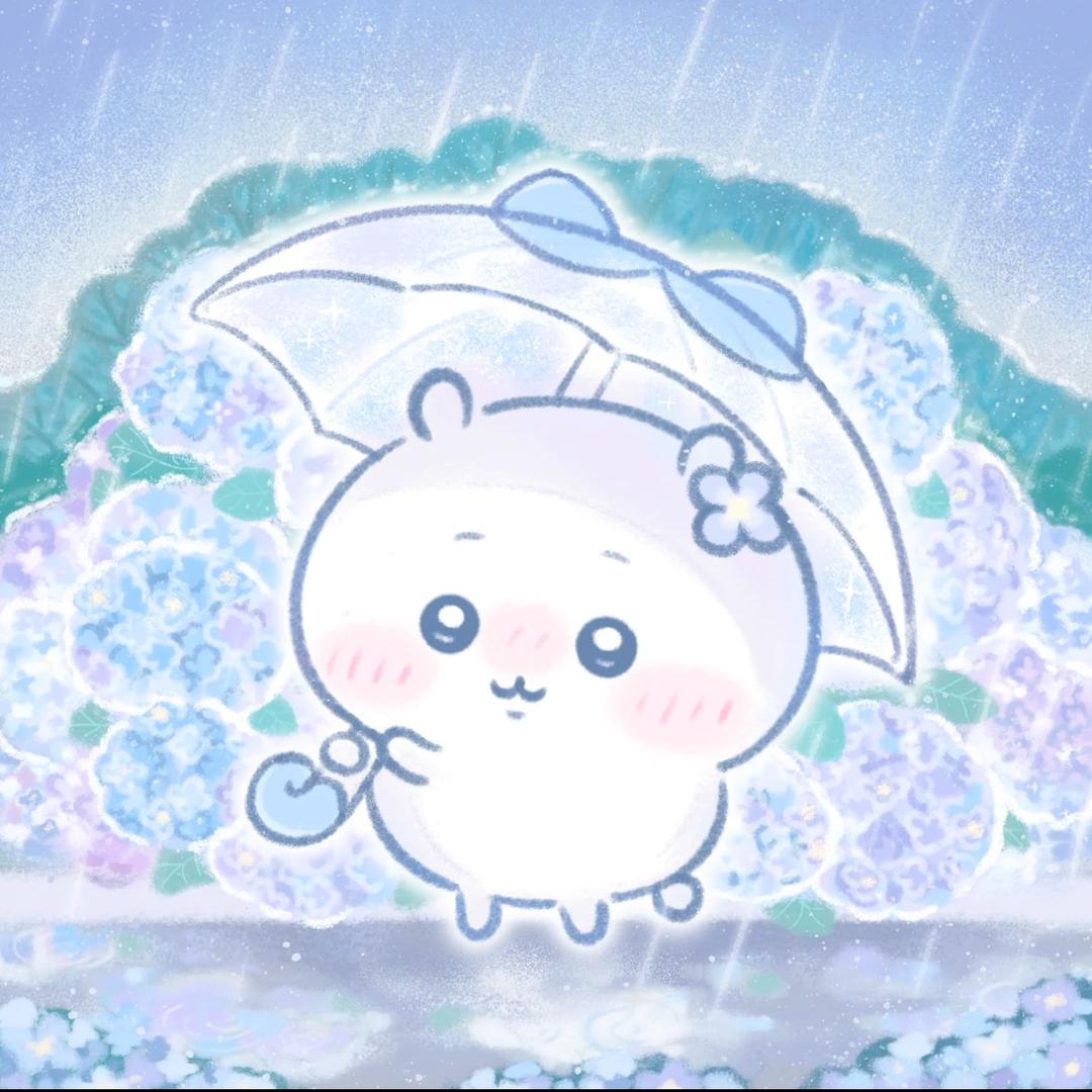 来一碗煲仔饭