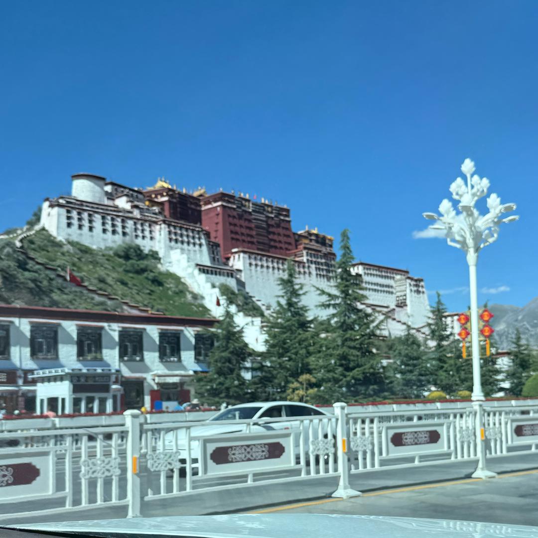 替你自由，替你快乐