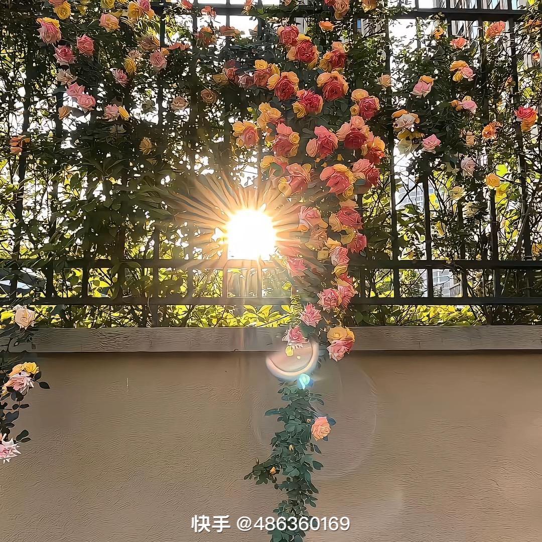 @韩韩