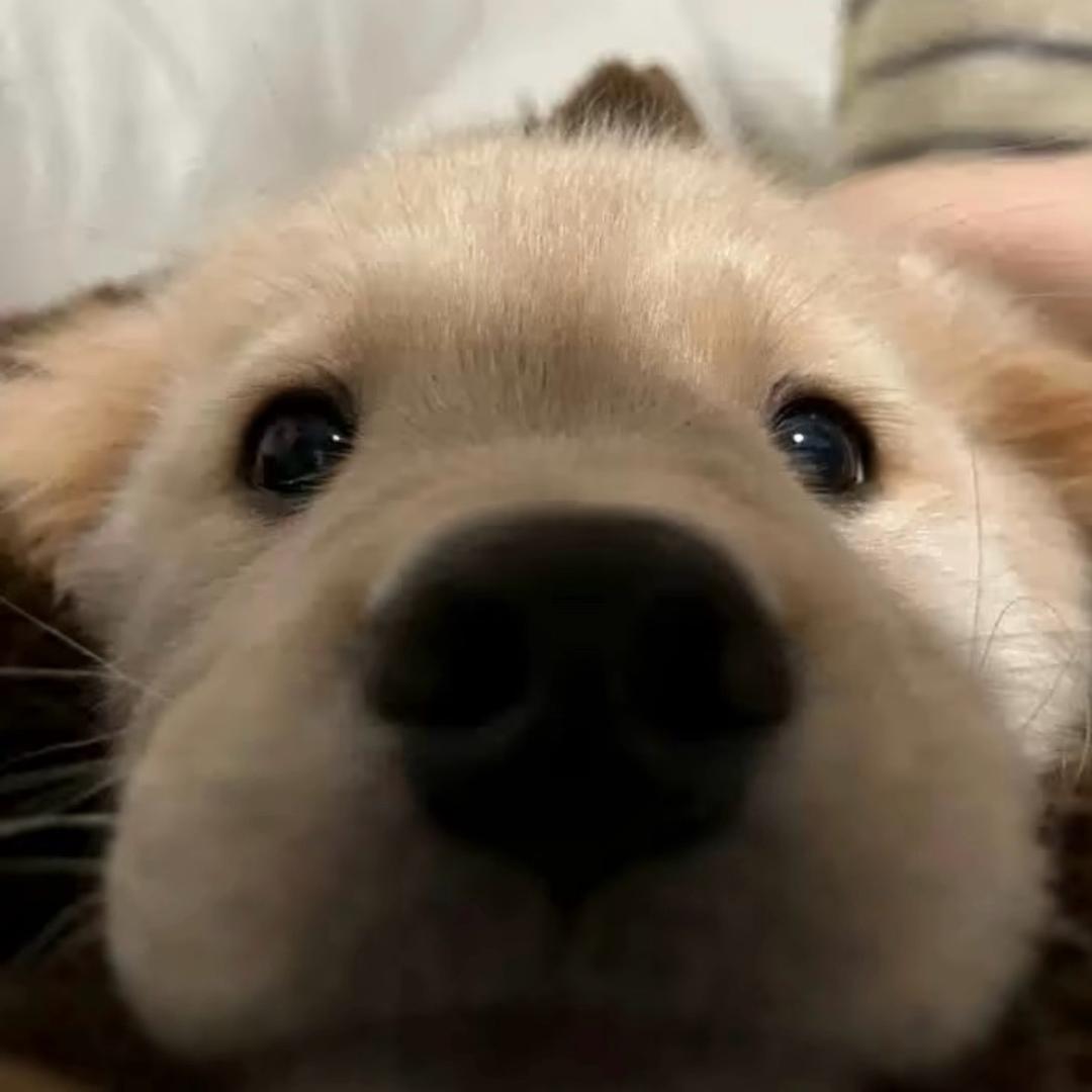 💤