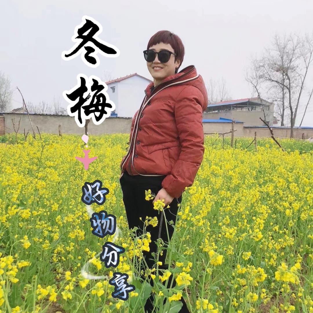 冬梅·心语