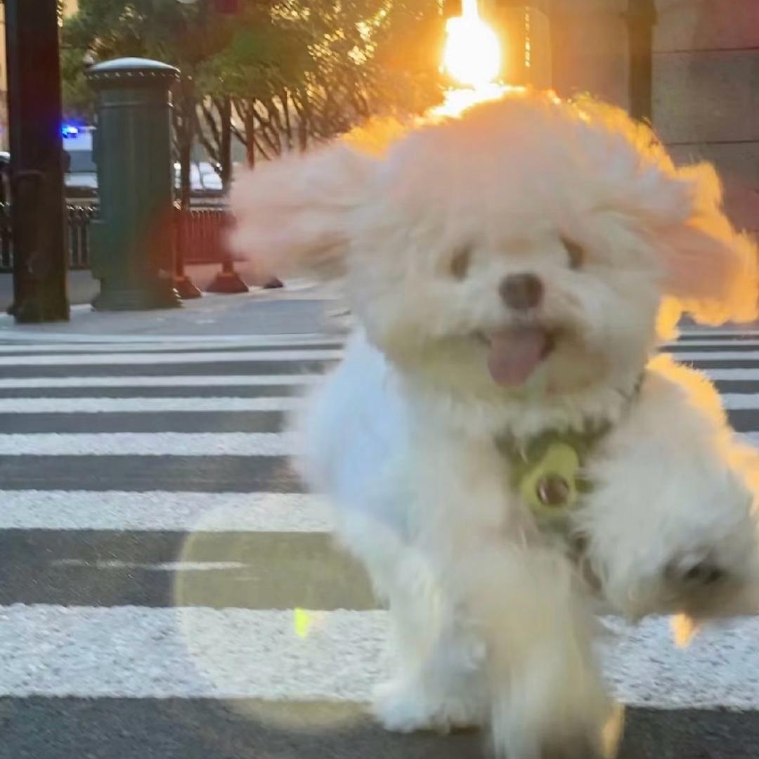 一天一个小星星