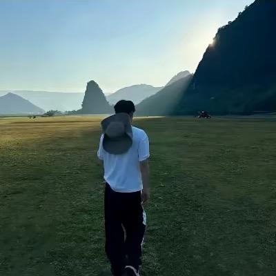 杨。