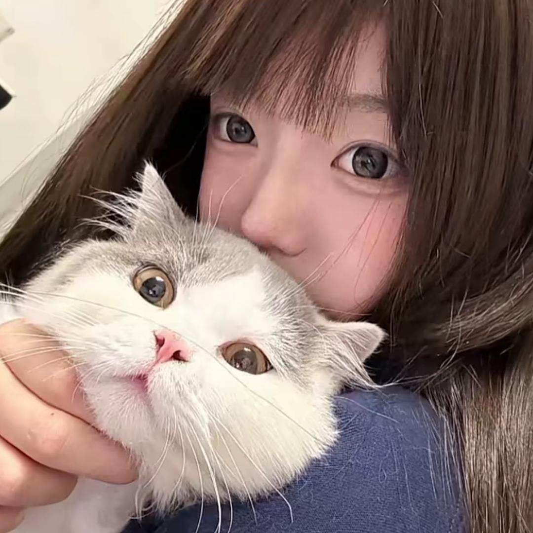 雨夜