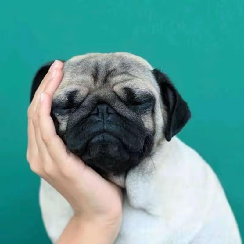 @.