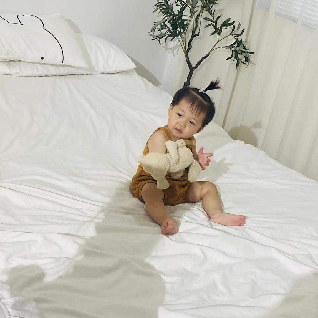 四季营养土(新农人)