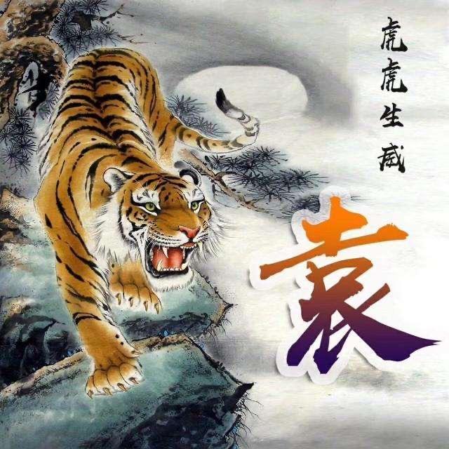 翱翔