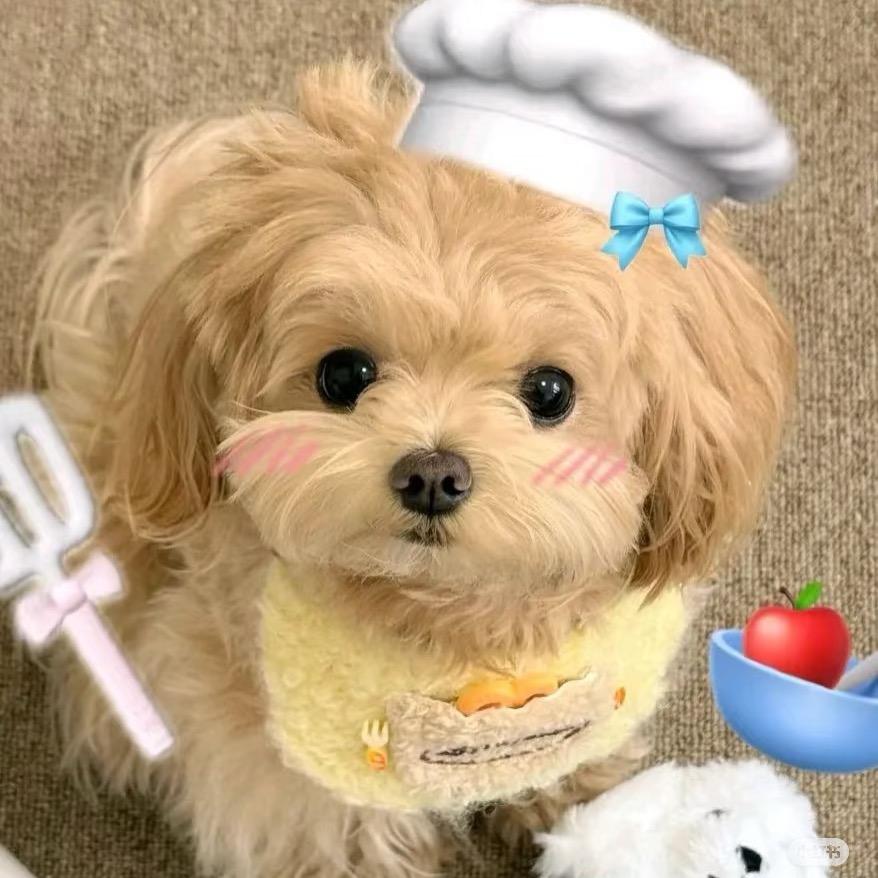 𝙆𝙞𝙩𝙖𝙧𝙩💤