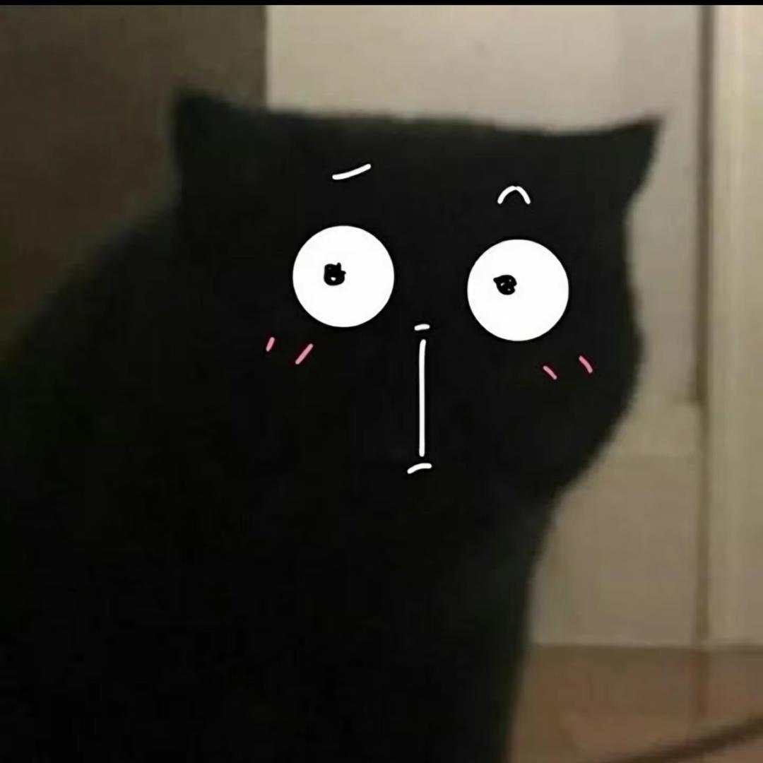 猫的数码口袋