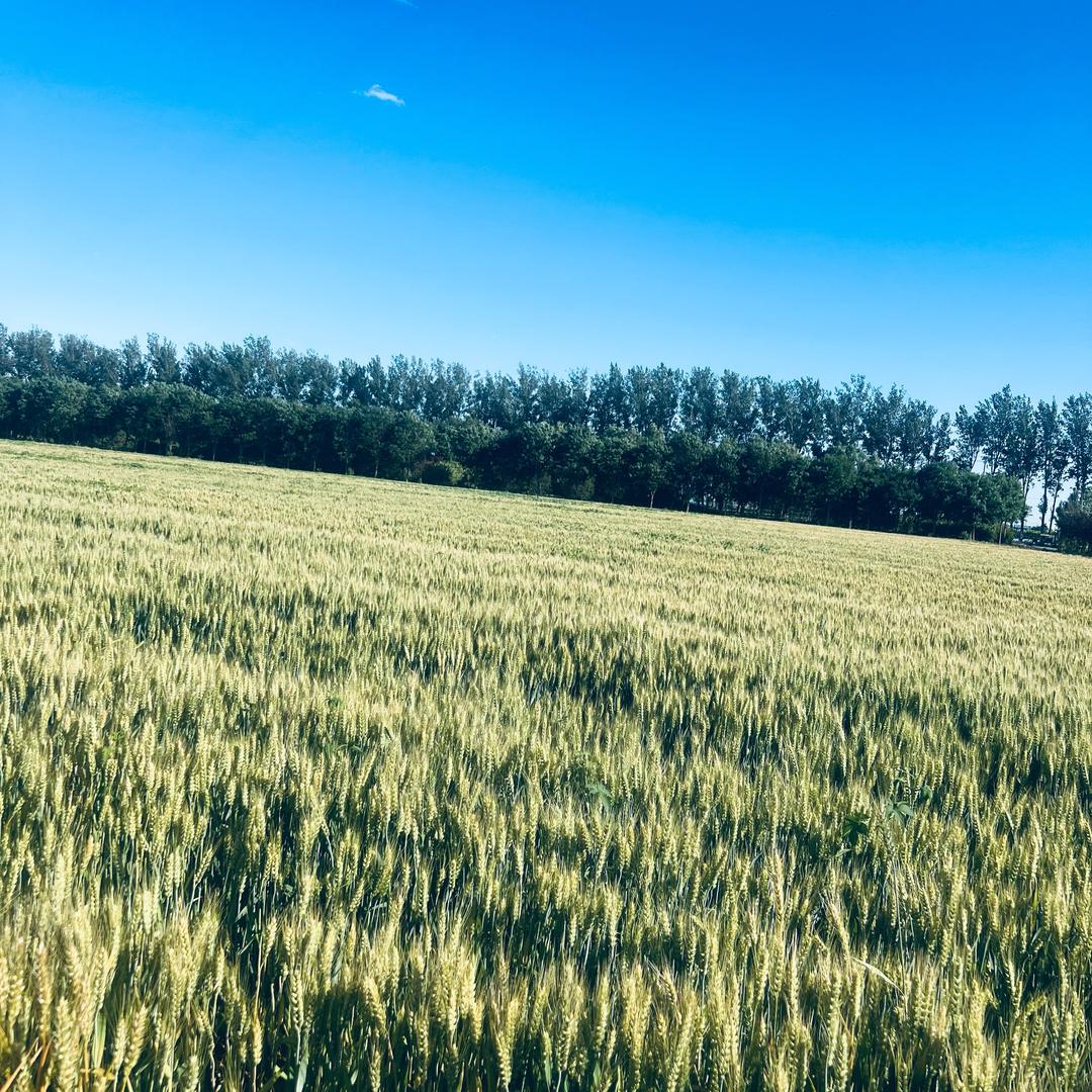 🇨🇳木子🇨🇳🐒🐒🐒