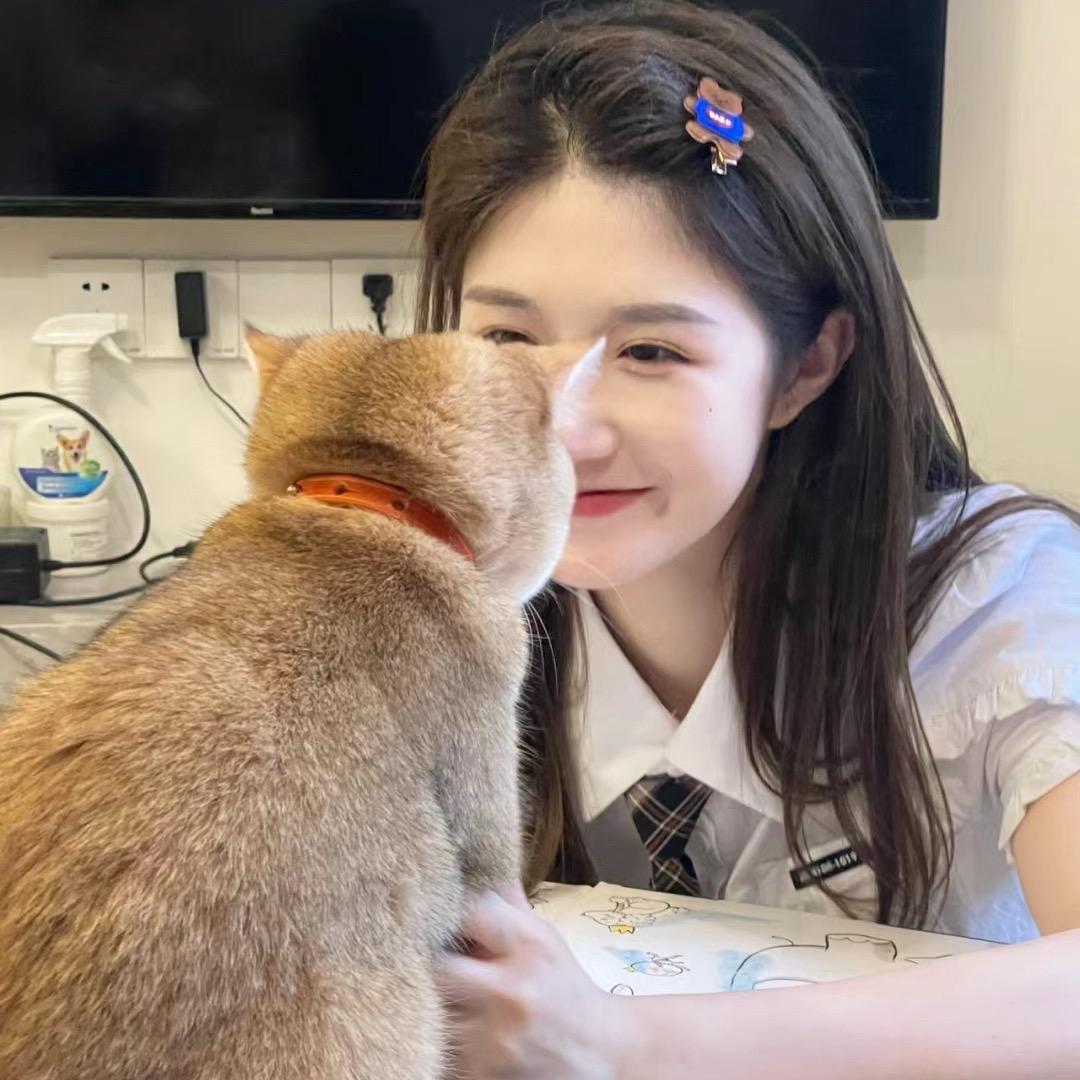 治愈兔