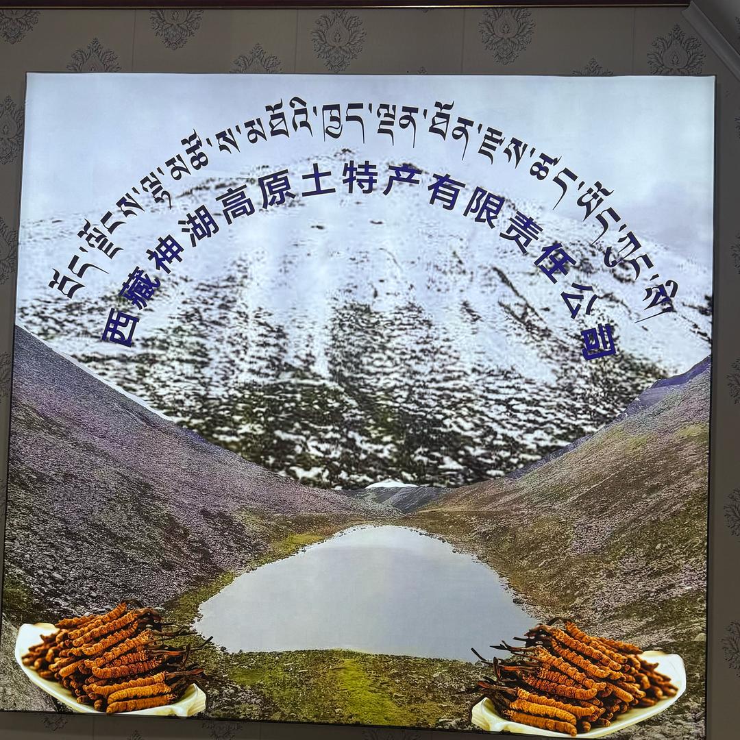 西藏神湖高原土特产有限责任公司。