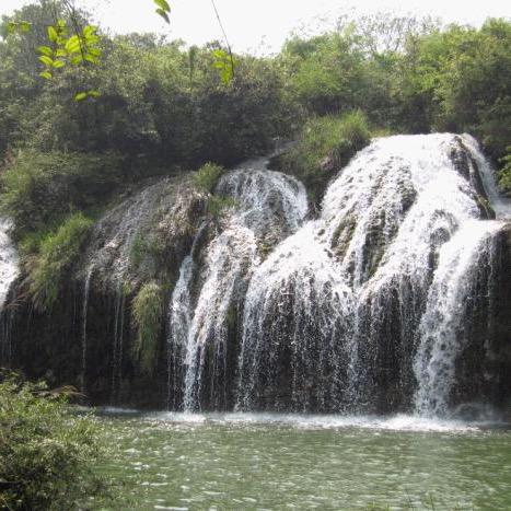 夏沫🍄🌱烟雨