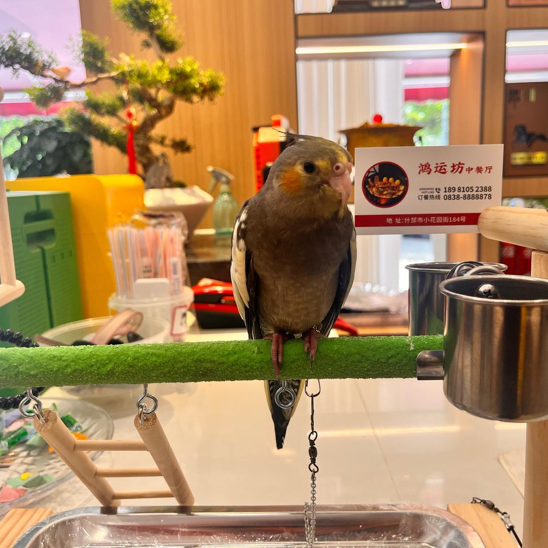 孤久成瘾