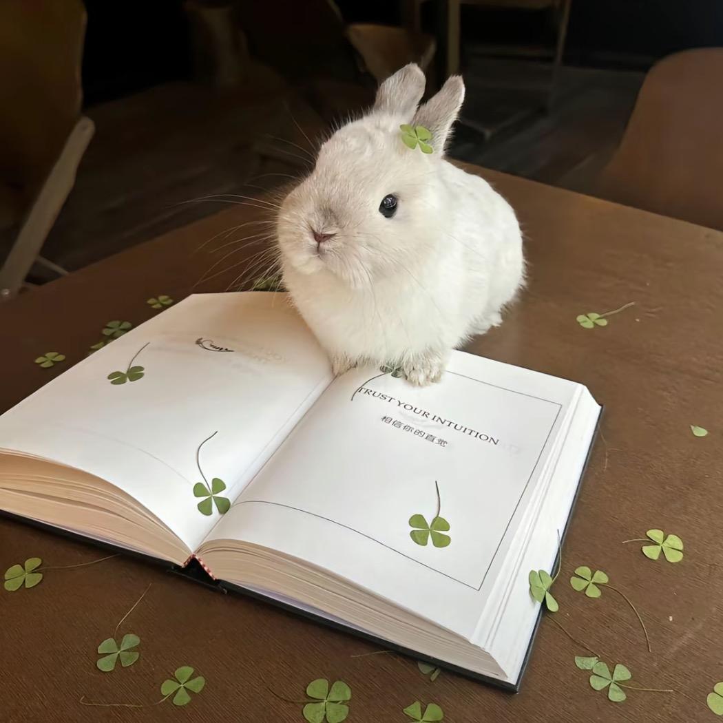 (・□・；)