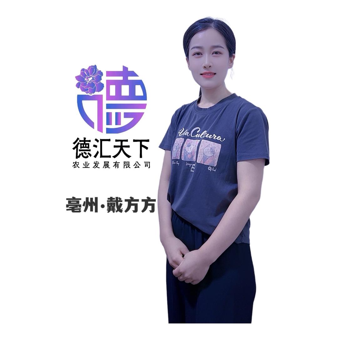 德汇天下戴方