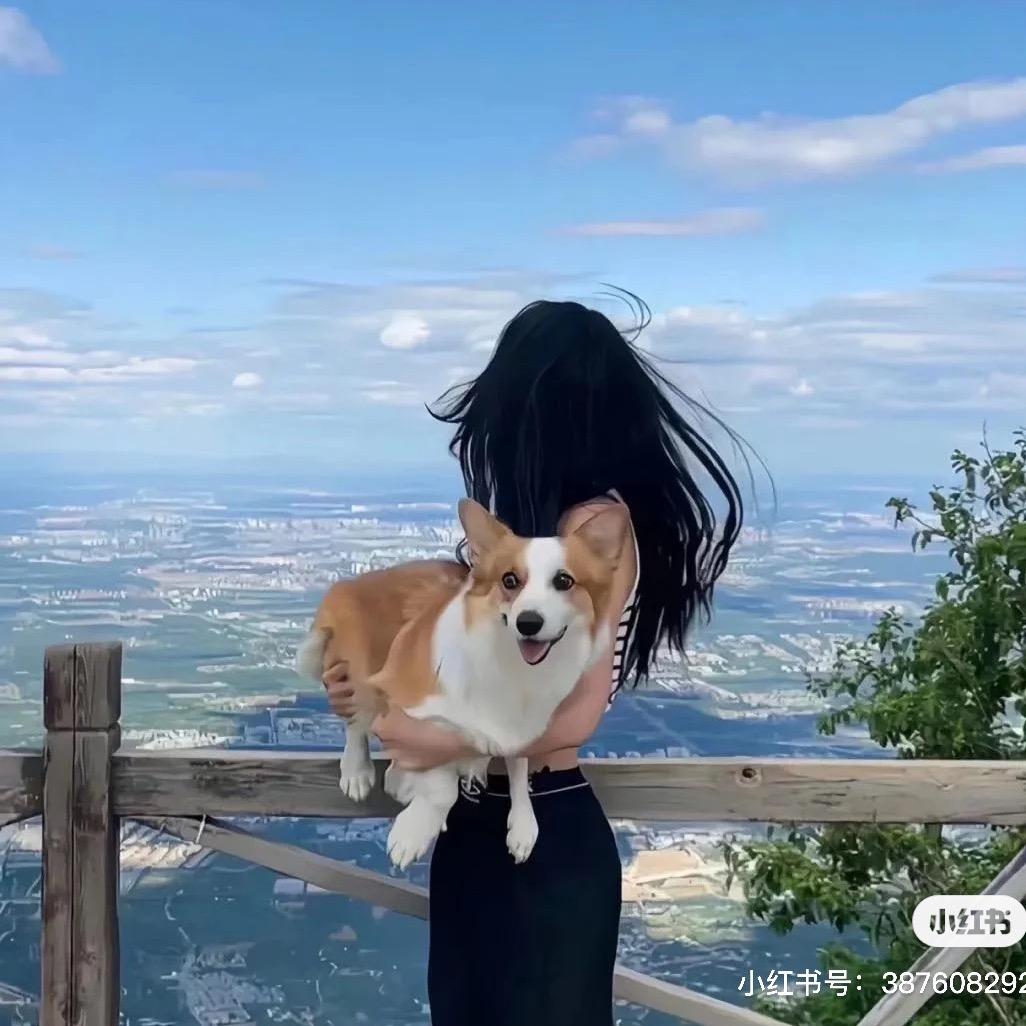 十一不姓李